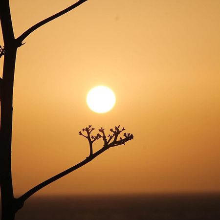 Sidi Kaouki Perla Hotel ภายนอก รูปภาพ