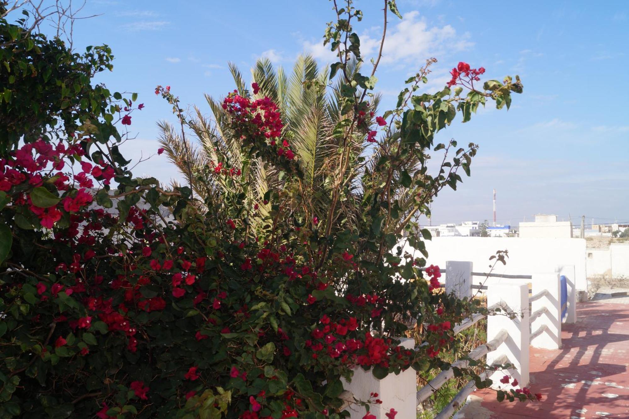 Sidi Kaouki Perla Hotel ภายนอก รูปภาพ