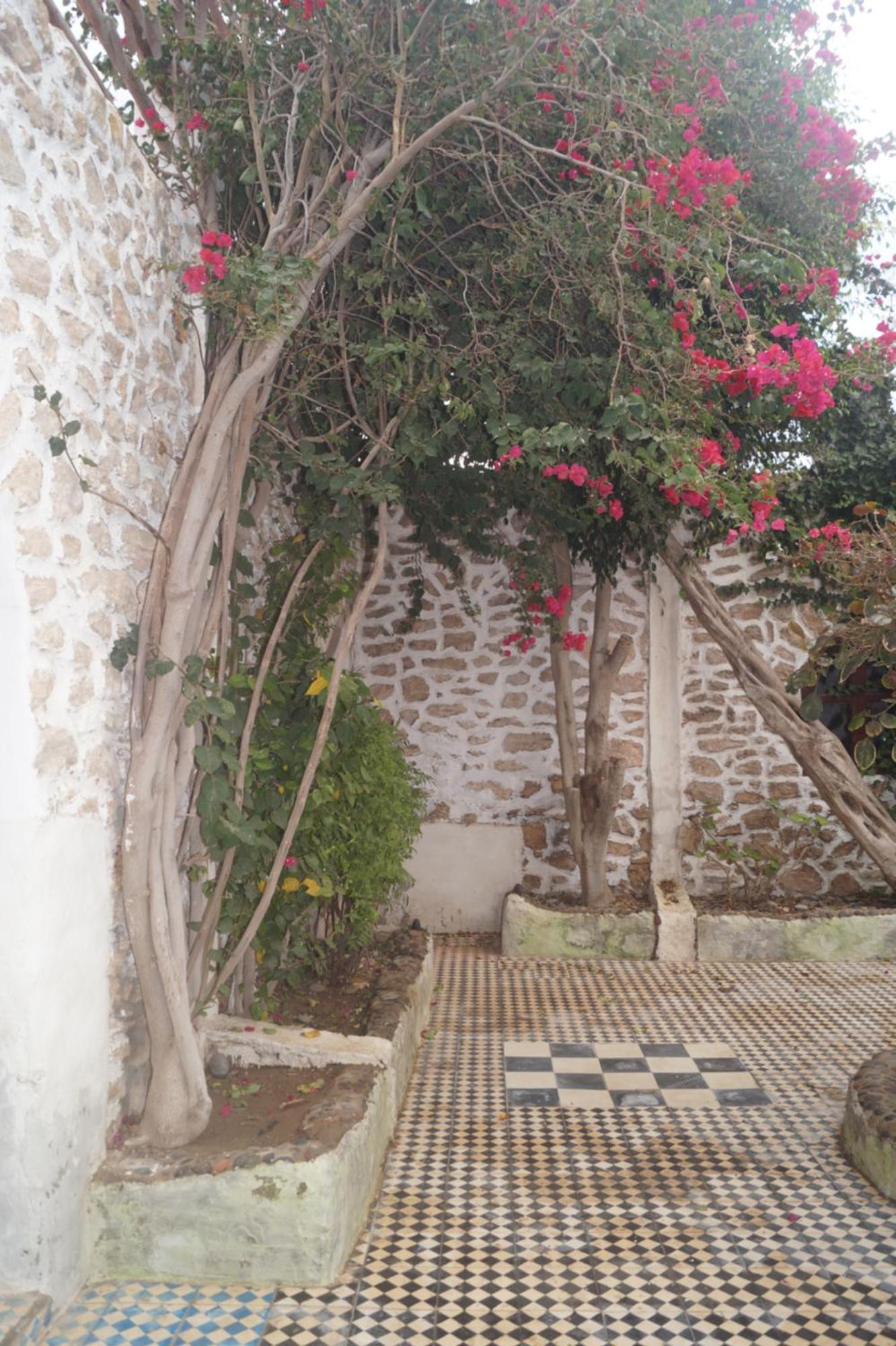 Sidi Kaouki Perla Hotel ภายนอก รูปภาพ