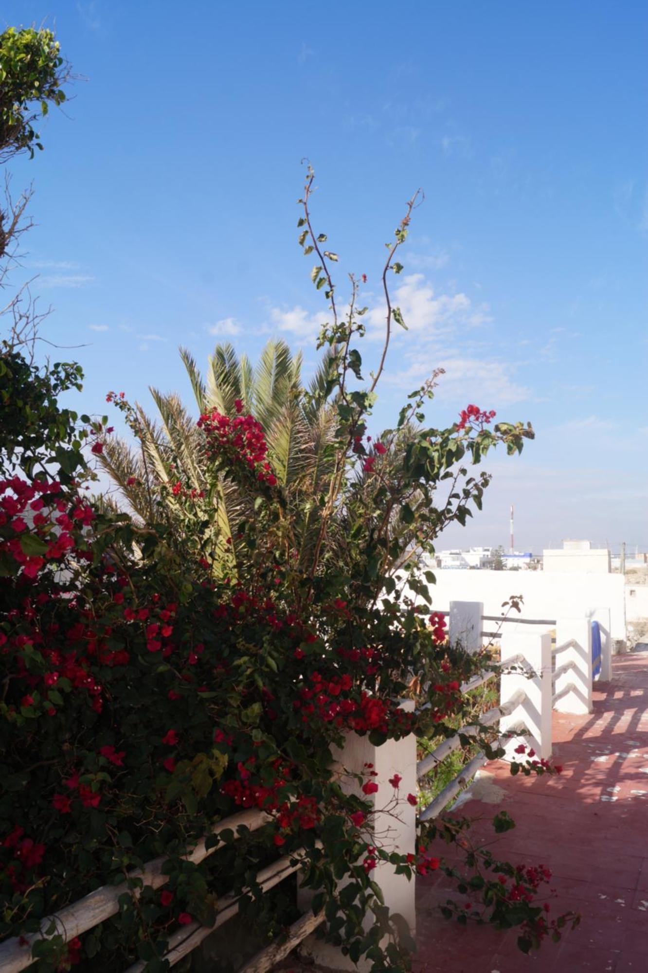 Sidi Kaouki Perla Hotel ภายนอก รูปภาพ